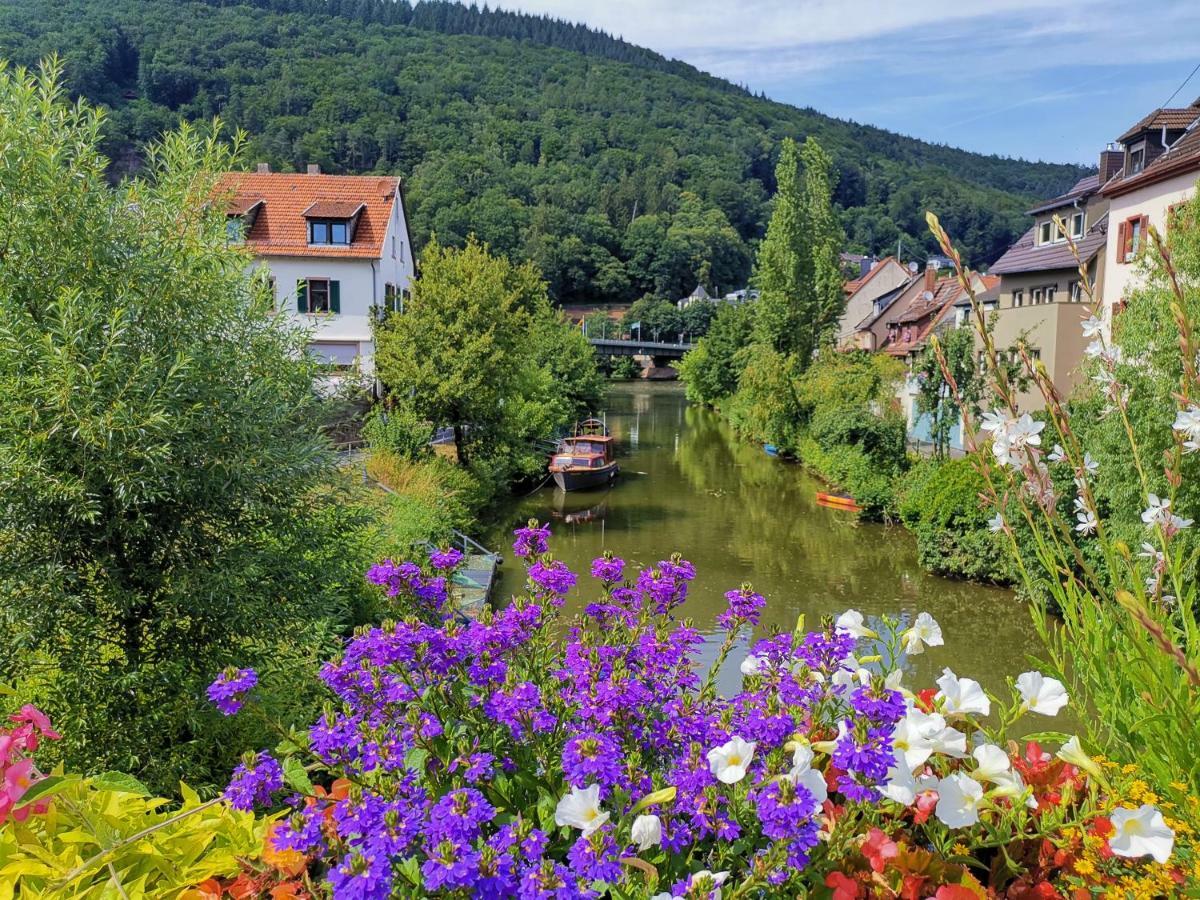 Ferienwohnungen Flussufer - Neckargemuend Altstadt Zewnętrze zdjęcie