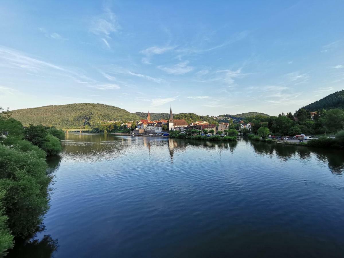 Ferienwohnungen Flussufer - Neckargemuend Altstadt Zewnętrze zdjęcie