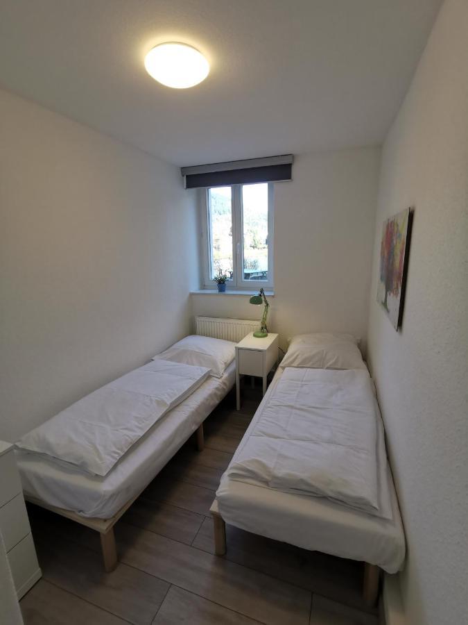 Ferienwohnungen Flussufer - Neckargemuend Altstadt Zewnętrze zdjęcie